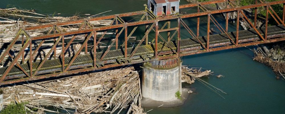 Photograph of a logjam in a river underneath an old bridge